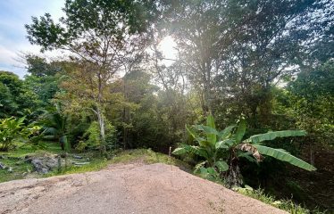 LUXURIOUS PRE-CONSTRUCTION 3-BEDROOM HOME IN DESIRED PLAYA HERMOSA – 0.57 ACRES